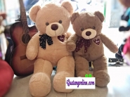 Gấu Teddy One 90cm