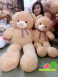 Gấu Teddy Nơ Caro nâu nhạt 1m25