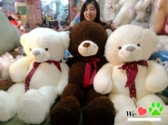 Gấu Teddy lông xù