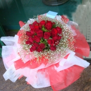 Hoa hồng đỏ - Bình minh dịu êm