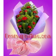 Cẩm Chướng Lung Linh